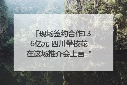 现场签约合作136亿元 四川攀枝花在这场推介会上画“图谱”列“清单”